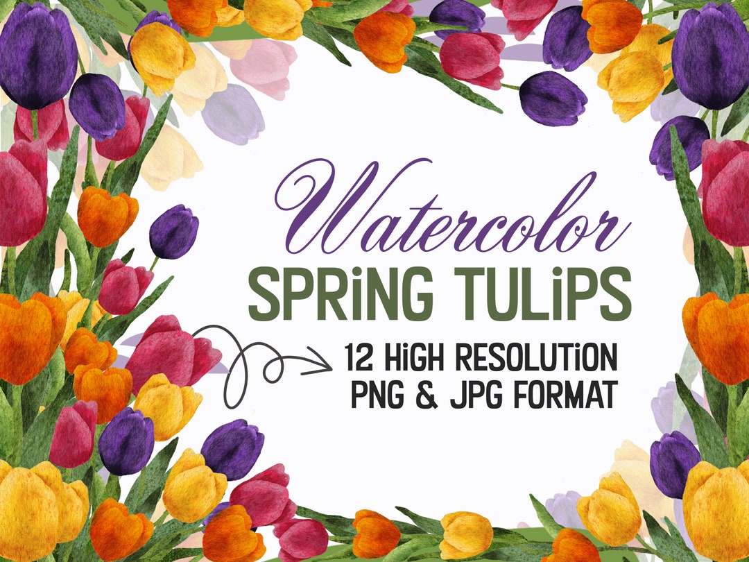 Tulips Watercolors Garden Spring PNG Clipart, Flowers Watercolor Tulip ...