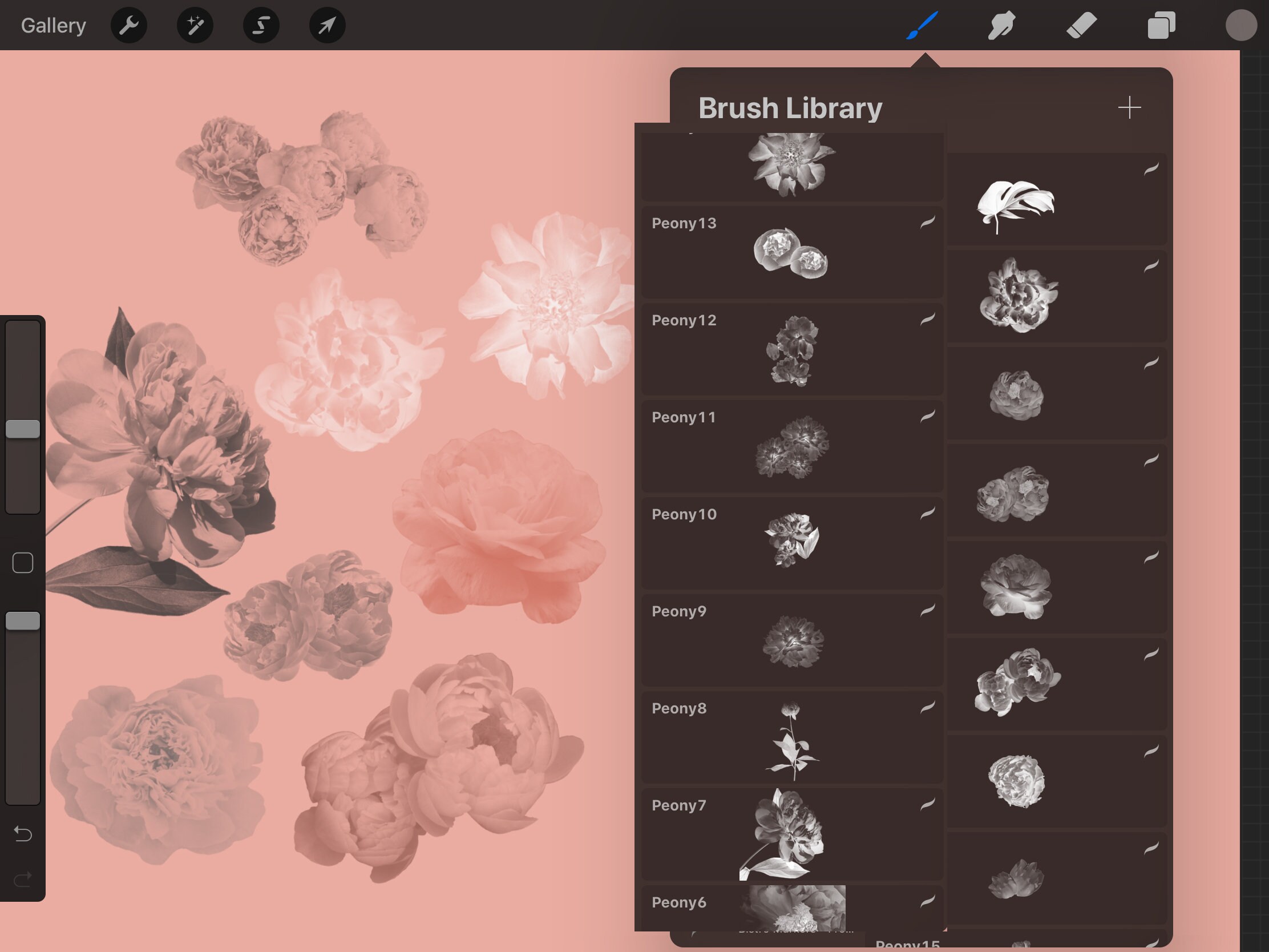 Peony Peonies Flowers Brushes Procreate - Stamps Digital for iPad - Etsy