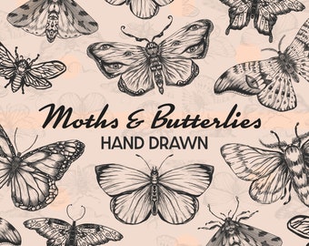 Butterfly Butterflies Moth brushes Procreate - Stamps digital for iPad