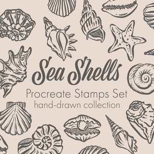 Shapes Procreate Stamp Brushes Sea Shell, Ocean Procreate Brushes ...