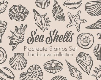Shapes procreate stamp brushes sea shell, ocean procreate brushes, modern, water brushes procreate, boho, brushes procreate