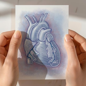 Hart anatomie platte notitiekaart voor dokterscadeau, medische illustratie notitiekaartenset, notitiekaarten voor spreekkamer, medische school of ziekenhuis