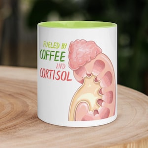 May include: White ceramic mug with a green interior rim. The mug features the text "Fueled by Coffee and Cortisol" with an illustration of a kidney and brain. The mug is sitting on a wooden surface.