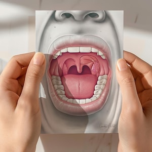 Tarjetas de notas planas con anatomía de boca abierta para médicos, dentistas y enfermeras. Juego de tarjetas de notas con ilustraciones médicas para consultorios médicos o dentales, facultades de medicina