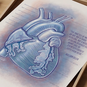 Anatomical Heart Art Print, Medical Illustration Wall Decor Gift for Cardiologist, Human Heart Anatomy Decor Medical Art Print Heart Surgeon