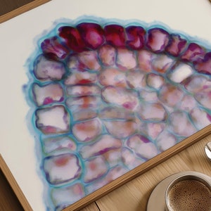 May include: A framed print of a close-up of a plant cell, showing the cell wall and cytoplasm in shades of pink, purple, and blue.