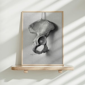 Arte médica, desenho de osso do quadril, arte de parede, ilustração médica, impressão, arte de parede, anatomia, arte, decoração médica, presente para consultório médico, ortopédico