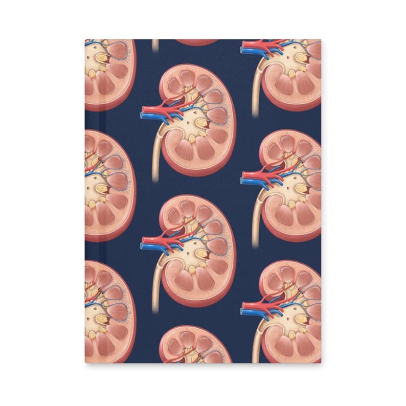 Kidney Anatomy Cover Art Medical Student Notebook, Hardcover Medical ...