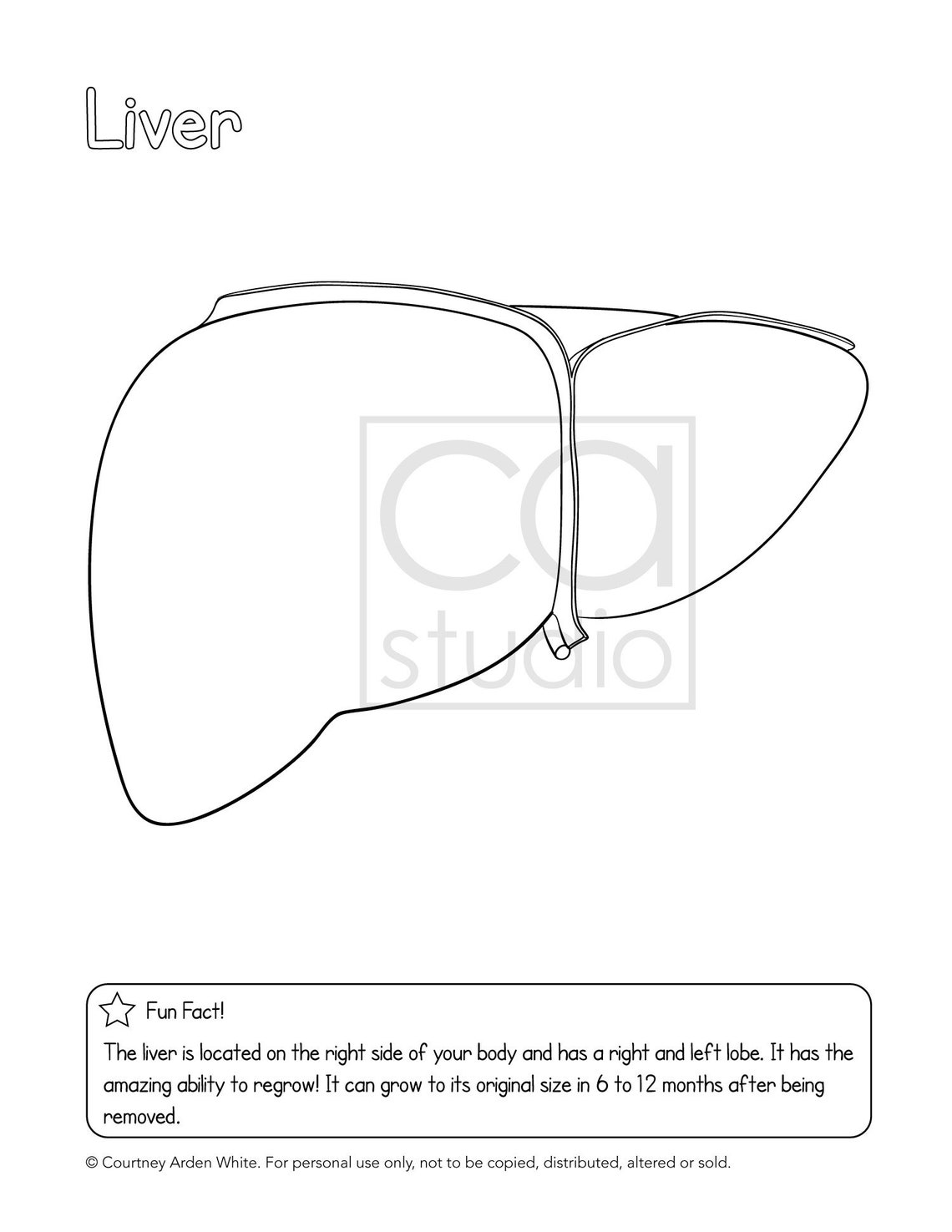 Buy Coloring Printable: Anatomy of the Liver, Print and Color Online in ...