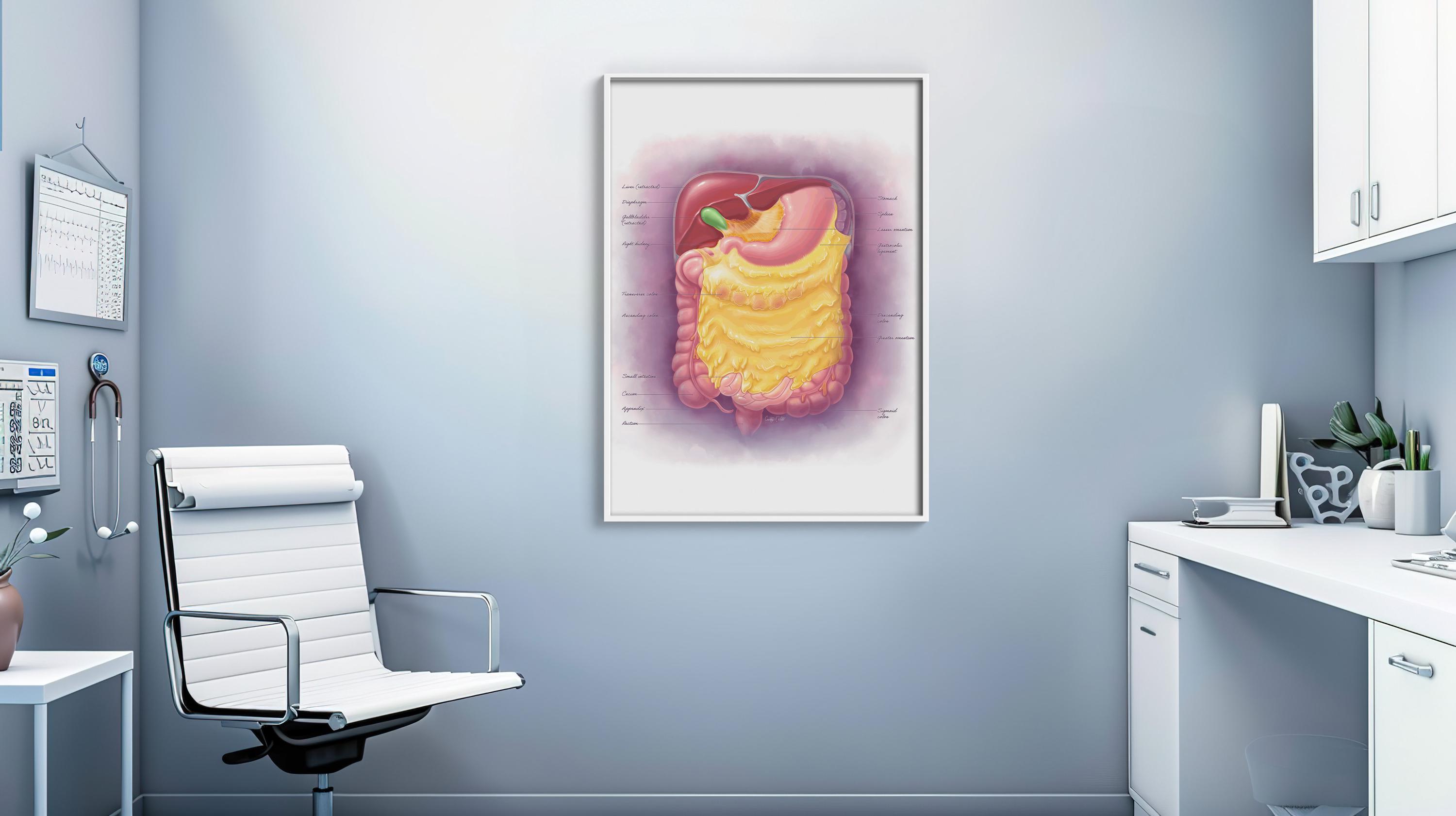 Digestive Anatomy Art Print, Medical Illustration Wall Art of Liver ...