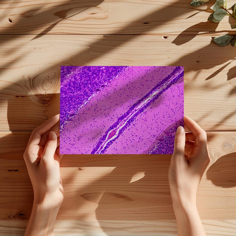 May include: A rectangular print featuring a detailed, abstract image in shades of purple and pink. The print is held by hands against a wooden background, with shadows and foliage adding natural elements.