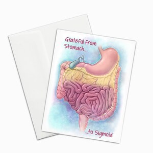 Tarjeta de agradecimiento para cirujano gastroenterólogo, tarjeta de felicitación de anatomía médica con estómago, intestinos y vesícula biliar, tarjeta de felicitación de gastroenterólogo.