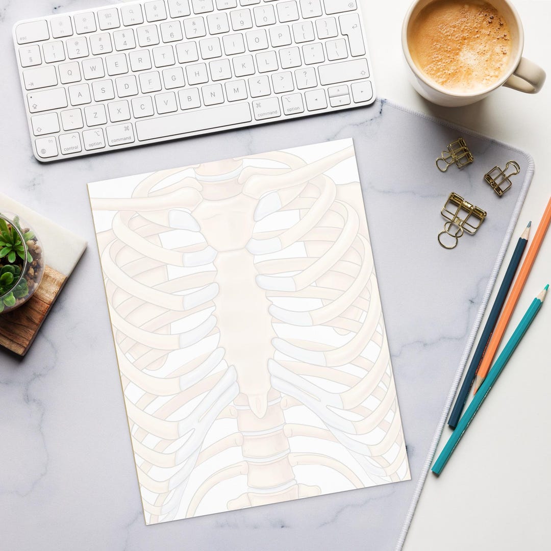 Out Getting Ribs Note Sheet Medical Rib Bones Notepad, Anatomical Rib Illustration Note Pad With ...