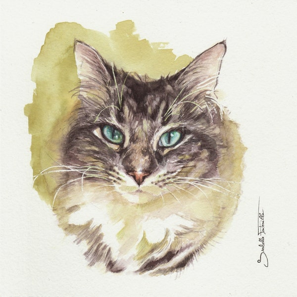 Peinture aquarelle originale Chat Européen 16 X 16 cm (6.30 X 6.30 inchs)