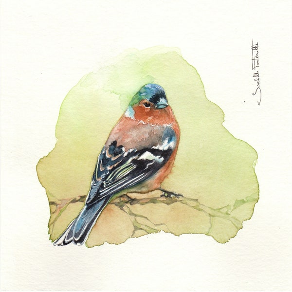 Peinture aquarelle originale Oiseau Pinson des arbres 16 X 16 cm (6.30 X 6.30 inches)