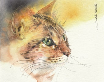 Peinture aquarelle originale Chat tigré roux 16 X 16 cm (6.30 X 6.30 inches)