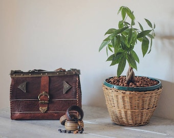 Vintage antique leather bag