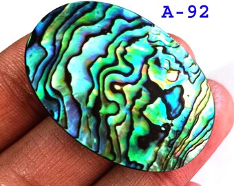 レインボーアワビ貝：真珠のような紫、ピンク、青の貝殻（40～60 mm