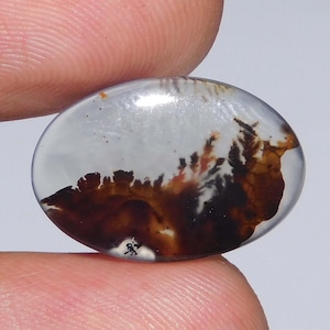 Pode incluir: Gema oval com base transparente. Apresenta padrões naturais em forma de árvores, em tons de castanho e preto. A pedra, segurada entre dois dedos, oferece um aspeto artístico.