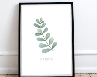 Articles Similaires à Affiche Végétal Plante Eucalyptus