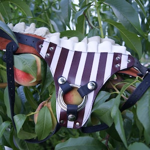 Circus Stripe Strap On Harness image 1