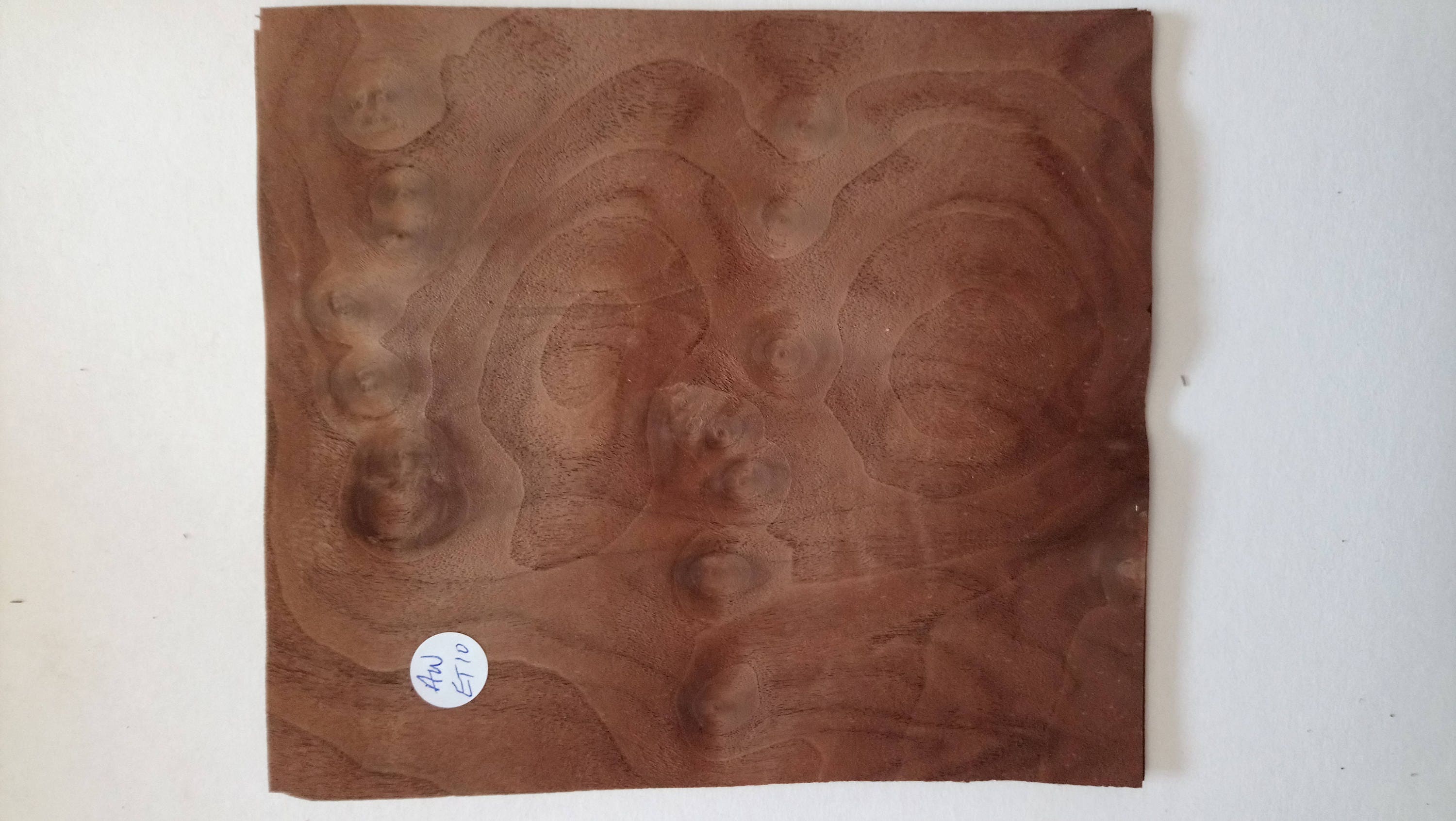 Consécutives Sheets of American Walnut Vernis 20 x 32 cm AM #233 marqueterie 