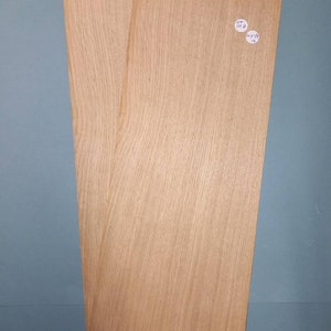 Chapa de roble - 2 hojas consecutivas 20 x 54 cm - ET1117