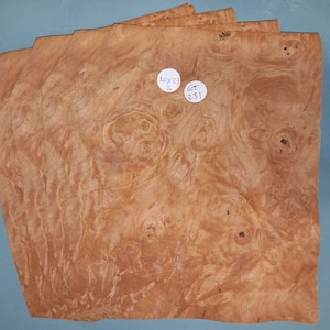 Chestnut veneer - 4 consecutive sheets 20x23cm - ET231