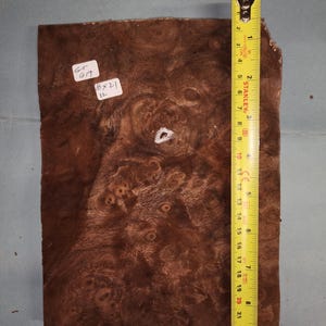 American Walnut burr veneer - 4 consecutive sheets 16x21cm - ET419