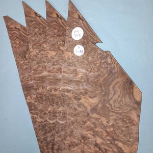 European Walnut burr veneer - 4 consecutive sheets 13x13cm - ET508