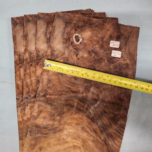 American Walnut burr veneer - 4 consecutive sheets 17x27cm - ET406