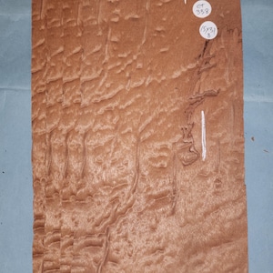 Sapele Pommele Mahogany veneer - 4 consecutive sheets 15x31cm - ET338