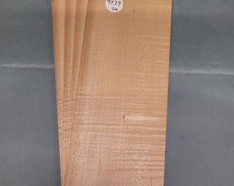 Lâmina de bordo Fiddleback - 4 folhas consecutivas de 9 x 29 cm - ET314