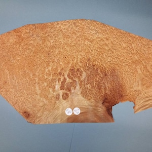 Puede incluir: Una pieza grande de madera con un patrón de chapa único. La madera es de color marrón claro con mucha variación en la veta. La madera mide aproximadamente 60 cm de largo y 30 cm de ancho. La madera tiene un pequeño agujero en el centro.