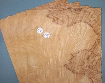 Ash veneer - 4 consecutive sheets 23x29cm - ET740