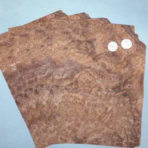 Impiallacciatura in radica di noce americano - 4 fogli consecutivi 17 x 23 cm - ET506