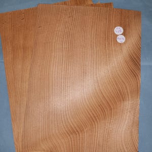 Lebanese Cedar veneer - 4 consecutive sheets 24x32cm - ET556