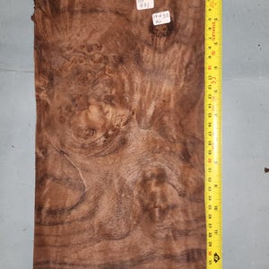 American Walnut burr veneer - 4 consecutive sheets 17x32cm - ET431