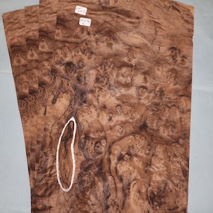 American Walnut burr veneer - 4 consecutive sheets 22x34cm - ET222
