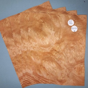 Chestnut burr veneer - 4 consecutive sheets 18x22cm - ET186