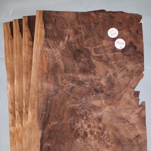 May include: Five pieces of wood veneer with a dark brown and light brown wood grain pattern. The veneer is 19 inches by 28 inches and is labeled "GT 386".