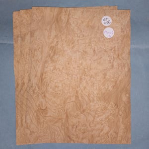 Ash burr veneer - 3 consecutive sheets 19x25cm - ET256