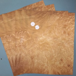 Puede incluir: Cinco hojas de chapa de madera de color marrón claro con un patrón de veta en espiral. Las hojas están apiladas unas sobre otras. Una pegatina blanca con el texto "GR 029" es visible en la hoja superior.