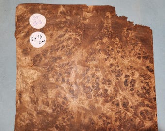 Amboyna veneer - 1 sheet 12x16cm - ET568