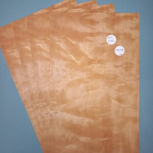 4 consecutive sheets of Golden quilted maple veneer 17x29cm. Et232