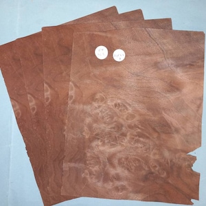 American Walnut burr veneer - 4 consecutive sheets 20x25cm - ET523