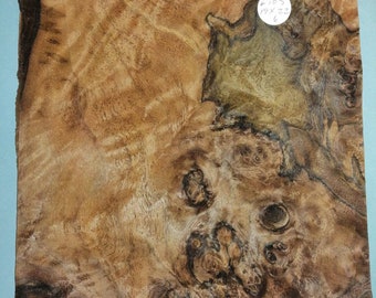 Consecutive sheets of American burr walnut veneer er#129   20x31cm