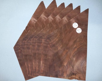 Noce americano impiallacciato - 6 fogli consecutivi 15 x 19 cm - ET202