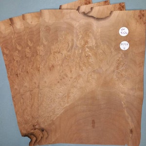 European Walnut burr veneer - 4 consecutive sheets 20x27cm - ET552