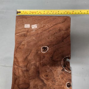 American Walnut burr veneer - 4 consecutive sheets 16x27cm - ET702